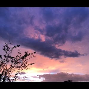 Meet your Posher, Adrian